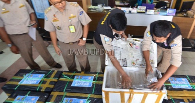 Baby lobster yang diamankan Ditpolair Polda Jambi.