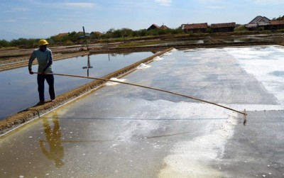 Petani garam (Dok. JawaPos.com)