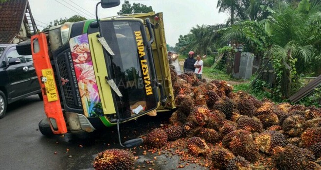 Truk Pembawa Tanda Buah Sawit Terguling.