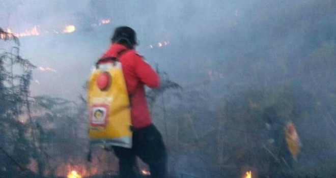 Ratusan Hektar Lahan & Hutan di Kerinci dan Sungai Penuh Terbakar.