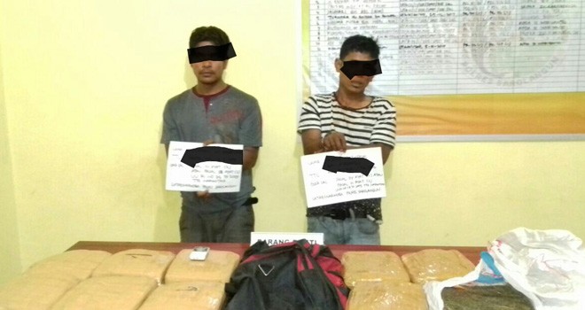 Dua tersangka dan 10 Kg ganja kering saat diamankan di Mapolres Sarolangun, Minggu (11/3).