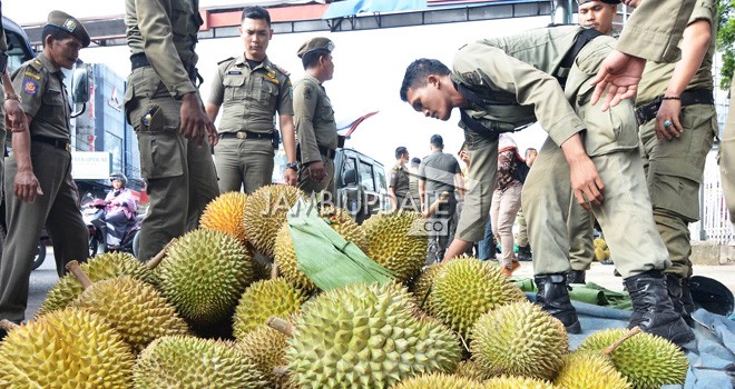 Satpol PP Kota Jambi saat Angkut Ratusan Durian di Tugu Juang.