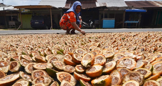 Warga di Kuala Tungkal saat menjemur buah pinang beberapa waktu lalu.