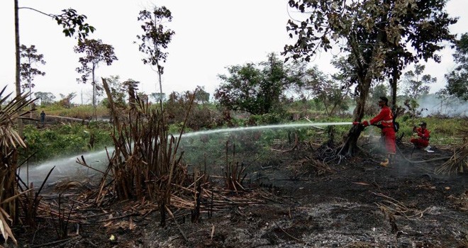 Kebakaran lahan kembali terjadi di Kabupaten Tanjung Jabung Barat. 