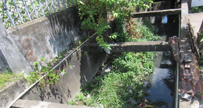 Salah satu drainase di Kota Jambi dipenuh rumput dan jarang dibersihkan sehingga tersumbat.