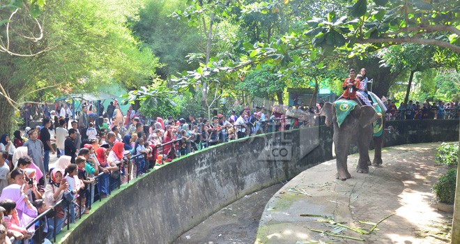 Pengunjung memadati kebun Bianatang Taman Rimbo saat libur. Taman Rimbo merupakan destinasi andalan di Jambi. Foto : M Ridwan / Jambi Ekspres