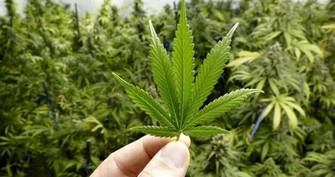 Ilustrasi. Foto : fin