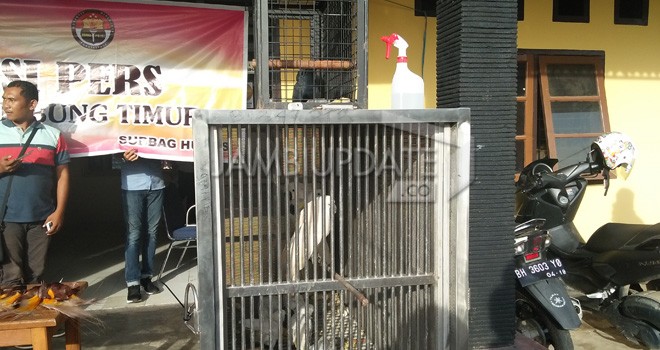 Kapolres Tanjabtim, AKBP Agus Desri Sandi, memberikan keterangan Pers penggagalan penyelundupan hewan dilindungi, Jumat (22/2). Foto : Maulana / Jambiupdate