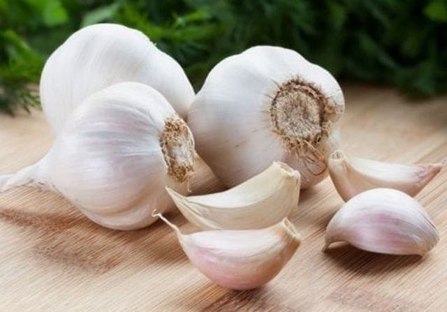 Bawang putih memiliki antioksidan yang banyak. (NDTV Food)