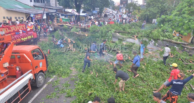Petugas saat membersihan pohon yang tumbang beberapa waktu lalu. Foto : Dok Jambiupdate