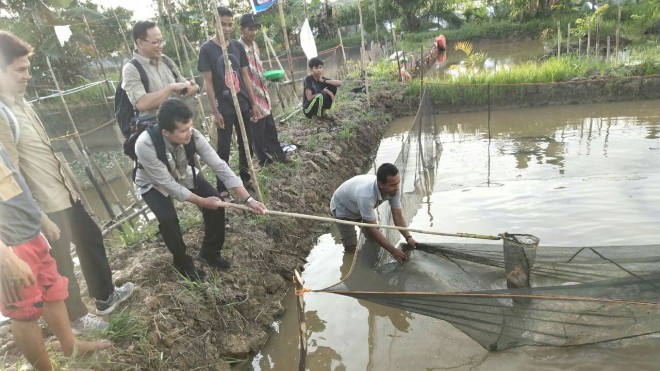 PANEN : Kelompok Bina Mitra Desa Rantau Rasau Desa saat panen perdana ikan dari kolam ikan beberapa waktu lalu
