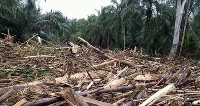 Kondisi pasca Banjir Bengkulu. Foto : Repro