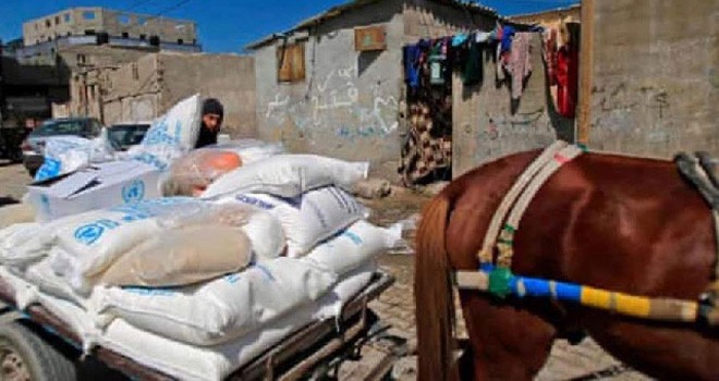 Bantuan makanan untuk Gaza. Foto : Net