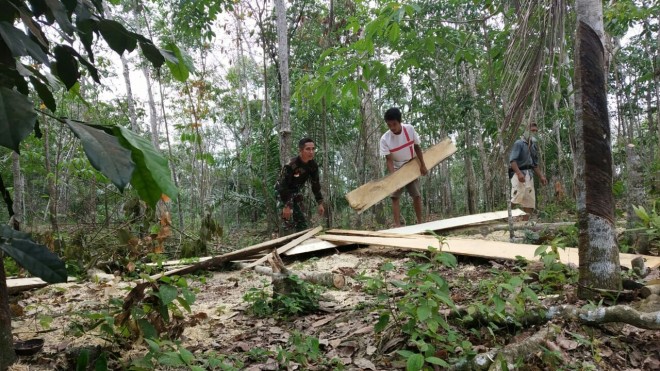 Babinsa Koramil 415-04/Mb Sersan Dua (Serda) Sahardi membantu warga mencari material kayu guna membangun rumah warga milik Suprianto warga RT 02 Desa Ladang Peris.  