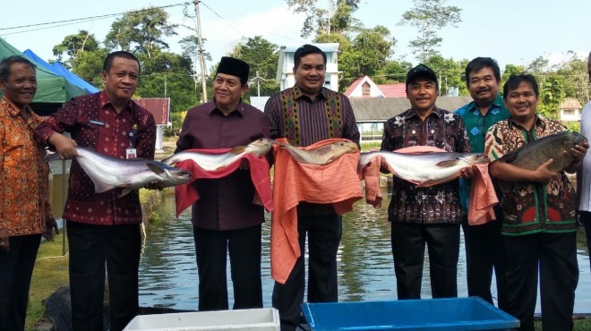Komisi IV DPR RI Apresiasi Kinerja BPBAT Jambi dalam Penyediaan Induk dan Benih Ikan untuk Masyarakat.