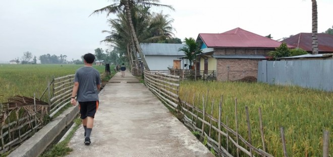 Salah satu areal persawahan di Desa Bunga Tanjung yang saat ini masuk dalam kawasan Tanco.