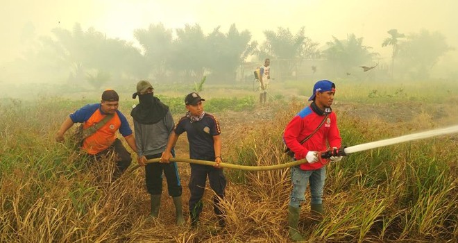 200 hektar lahan di Desa Mencolok, Kecamatan Mendahara Ulu habis terbakar.