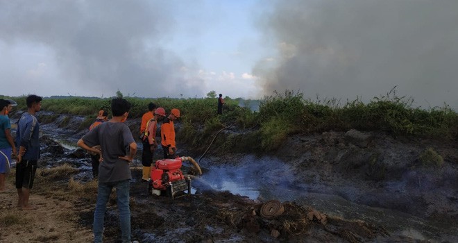 Kebakaran Hutan dan Lahan (Karhutla) di Provinsi Jambi terus meluas.
