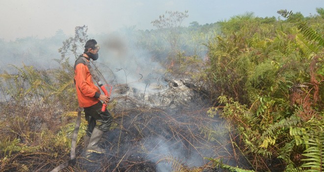 Terlihat Satgas tengah memadamkan api semakin meluas di wilayah Kabupaten Muarojambi.