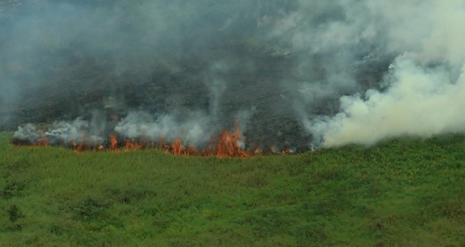 Kebakaran lahan yang terjadi di Kabupaten Tanjab Timur kemarin (7/9).   