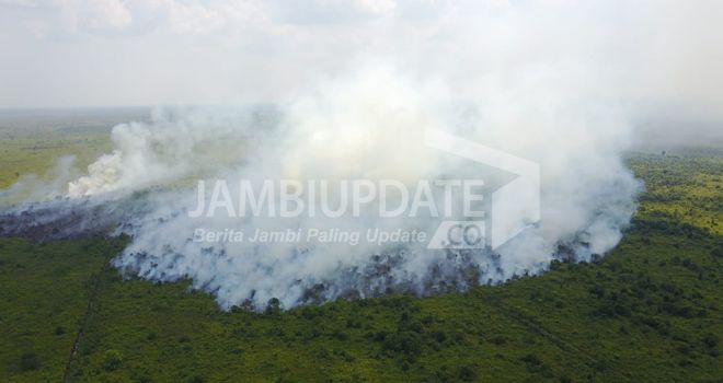 23 Hektare Lahan di Dendang Terbakar.
