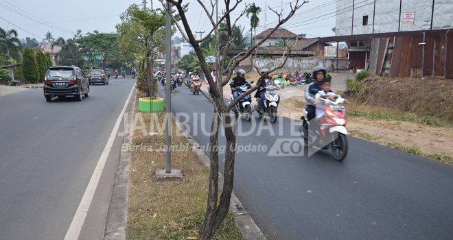 Tanaman yang ditanam DLH Kota Jambi di median Jalan Pattimura mulai kering (20/8).
