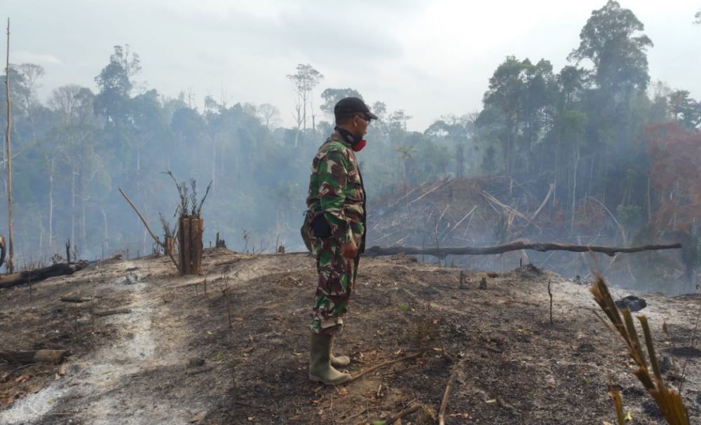 Lokasi Taman Nasional Bukit Duabelas (TNBD) yang berada di Desa Bukit Suban, yang terbakar.