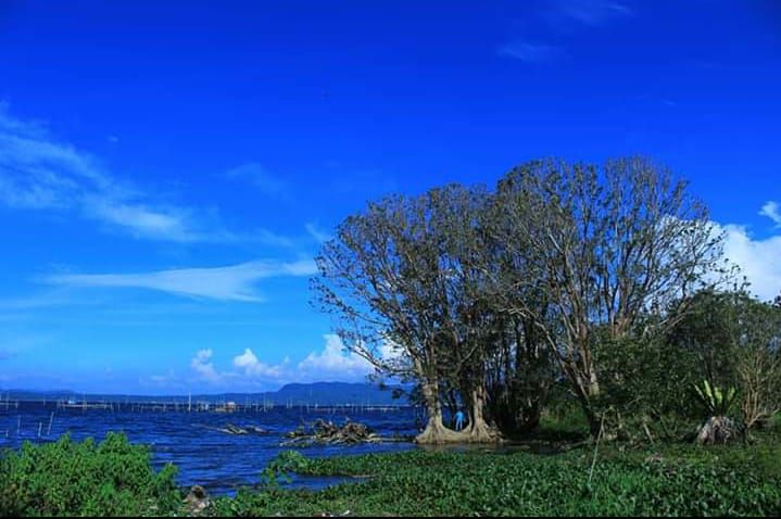 Objek wisata Cangkat di Ujung Pasir berada dalam kawasan Tanah Cogok.