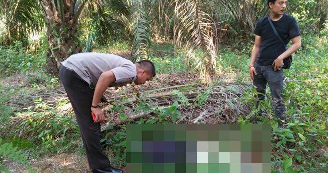 Penemuan sesosok mayat paruh baya yang ditemukan tergeletak di kebun sawit di kawasan Desa Sungai Ulak, Kecamatan Nalo Tantan.