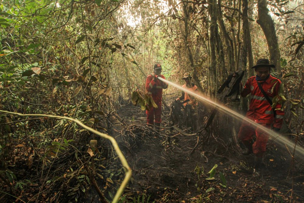 Masyarakat khususnya di Pulau Sumatera begitu tersiksa dengan dampak kabut asap meski intensitasnya berlahan menurun. Polri dan Kejaksaan pun mempercepat proses penyidikan dan penuntutan setelah mendapatkan atensi khusus dari Presiden Joko Widodo.