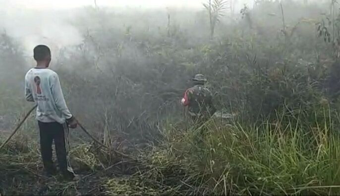 Kebakaran Hutan dan Lahan (Karhutla) yang terjadi Desa Sungai Cemara, Kecamatan Sadu, Kabupaten Tanjung Jabung Timur (Tanjabtim).