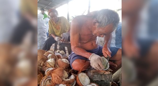 Pasangan suami istri Jaini (54) dan Saida (50) yang tengah mencungkil daging kelapa.