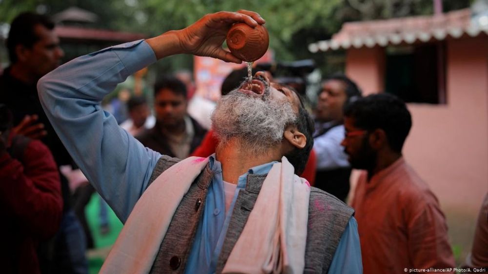 Sejumlah aktivis Hindu di India menggelar pesta minum air kencing sapi