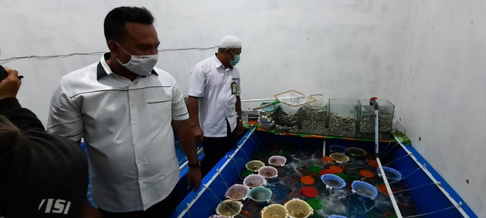 Ditreskrimsus Polda Jambi Kombes Pol Edi Faryadi menunjukkan barang bukti benih lobster yang dismpan di tempat penyimpan kemarin (27/5)