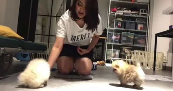 Rina Nose dengan hewan peliharaannya.

