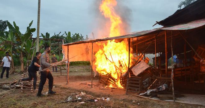 Lapak judi sabung ayam di jalan Lingkat Barat 1, Kelurahan Mayang Mangurai di bakar oleh petugas