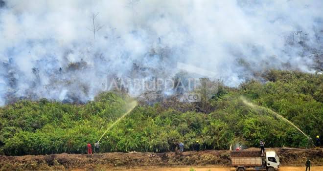 Petugas berjibaku memadamkan kebakaran hutan dan lahan di Jambi 2019 lalu.