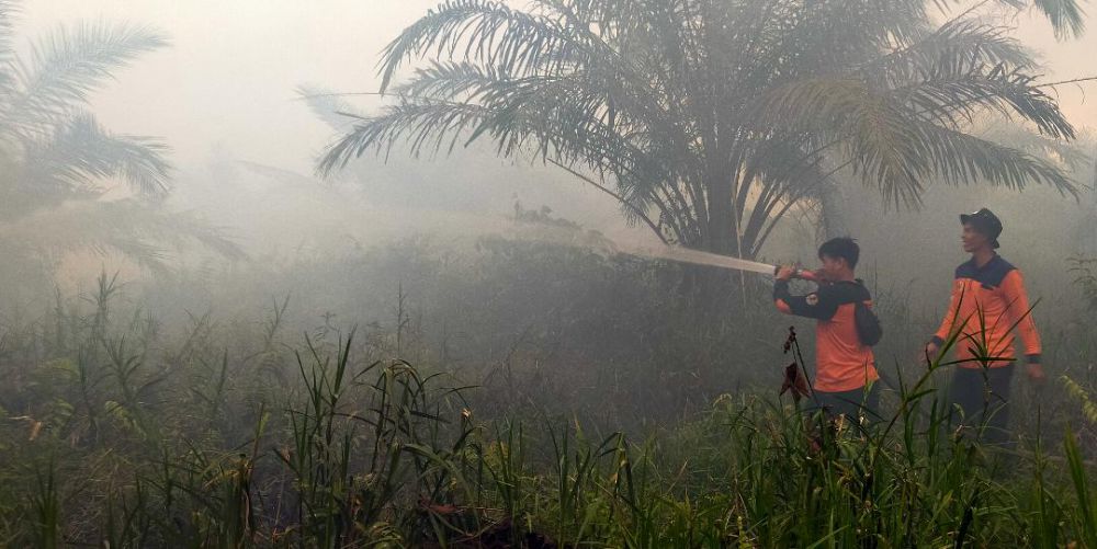 Petugas BPBD Kabupaten Muaro Jambi, saat memadamkan api yang membkar lahan warga, beberapa waktu lalu.