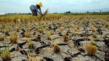 Suhu Global Naik, Indonesia Potensi Kekeringan