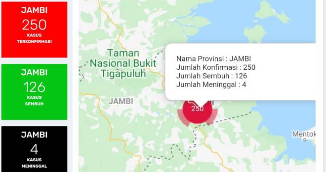 Positif dan Sembuh Covid19 di Jambi Hari Ini Tak Bertambah, Masih 120 orang yang Dirawat