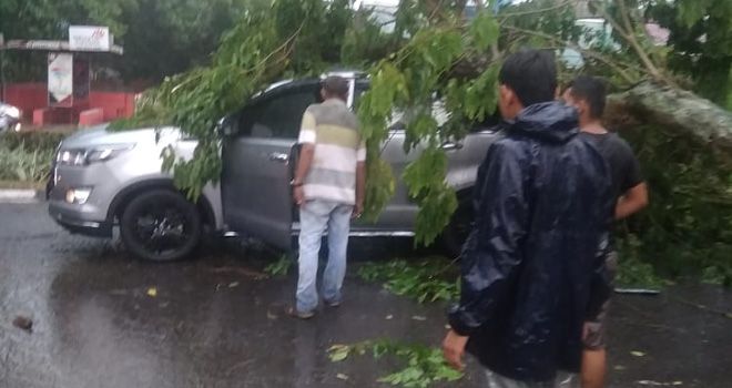 Sejumlah Pohon Tumbang Timpa Pengendara yang Melintas.