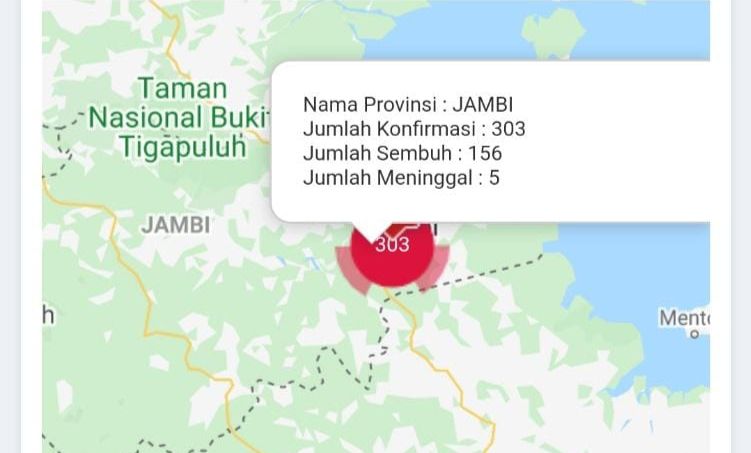 Bertambah 1 Orang Positif Covid19 Jambi, Total Kasus 303 Orang