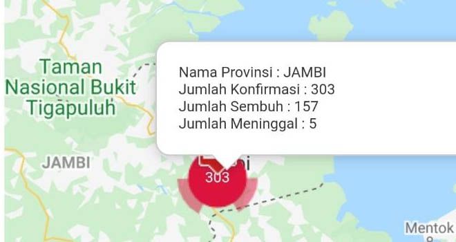 1 Pasien Dinyatakan Sembuh Covid19 Jambi, Total Sembuh 157 Orang