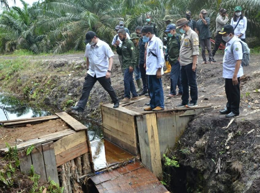 Kepala BRG melakukan peninjauan lahan gambut di Jambi Kamis (3/9) kemarin.