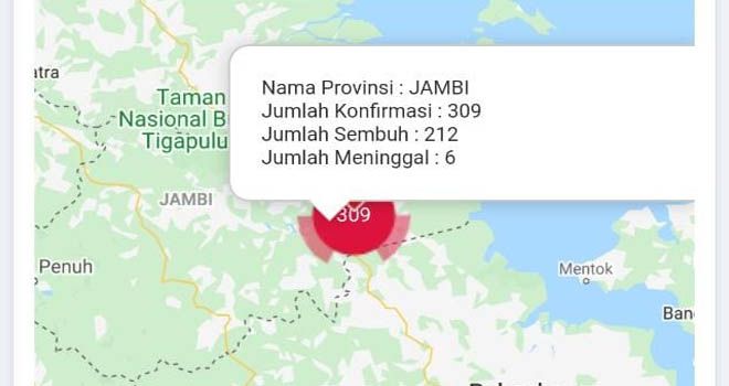 Pasien Covid19 Jambi Meninggal Dunia Bertambah 1 Jadi 6 Orang, 25 Pasien Covid19 Dinyatakan Sembuh