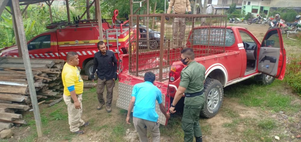 Tim tim Kaminkoh Kerinci, BKSDA, dan TNKS saat melakukan pemasangan perangkap harimau yang berkeliaran.