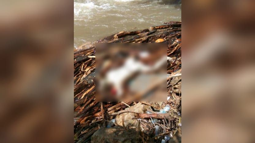 Warga Temukan Mayat Laki-laki Mengapung di Sungai Batang Merangin
