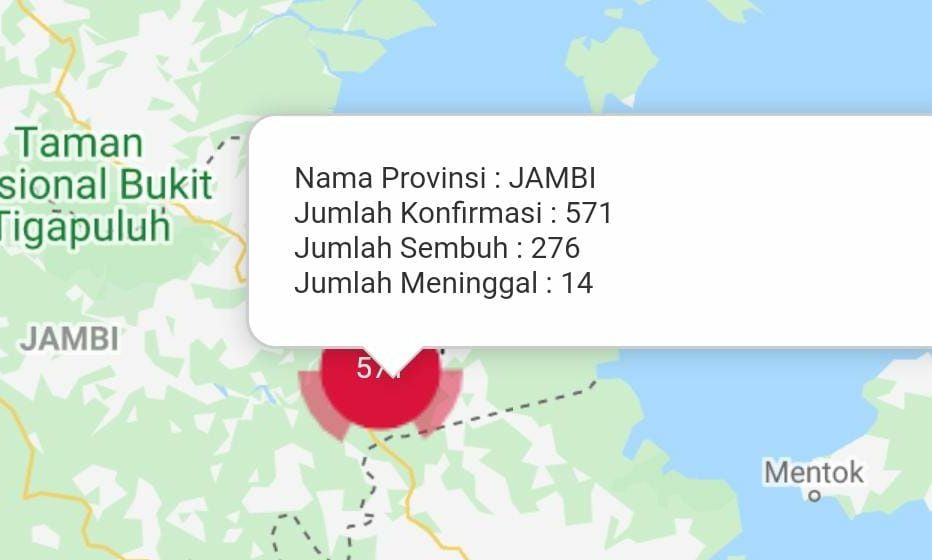 Positif Covid19 Jambi Bertambah 13 Orang.