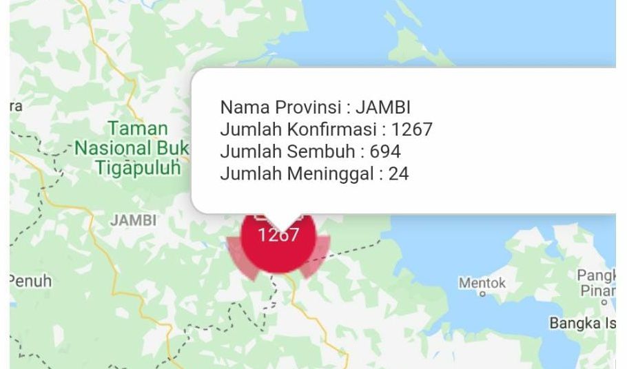 Update covid-19 Provinsi Jambi.