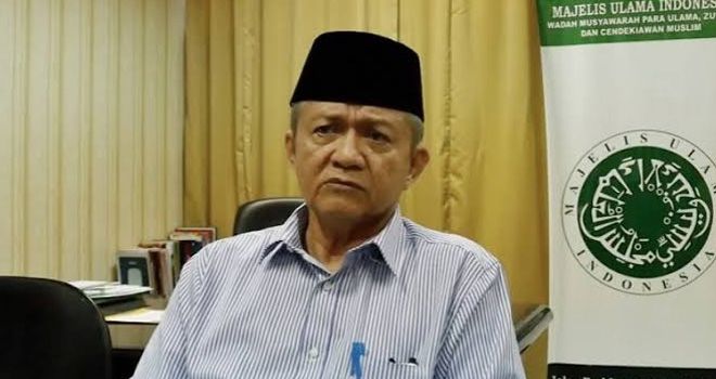Wakil Ketua Umum Majelis Ulama Indonesia (MUI) Anwar Abbas.